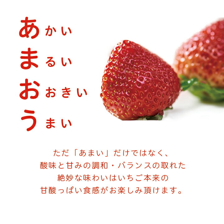 【ふるさと納税】【11月下旬より順次発送】フルーツ専門店が選んだ「あまおう苺」冬4パック(大野城市)_ いちご 苺 イチゴ フルーツ 果物 くだもの ふるーつ 青果 あまおう 旬 人気 産直 農家直送 国産 希少 品種 ギフト 贈答 プレゼント【配送不可地域：離島】【1083236】 サムネイル3