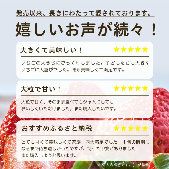 【ふるさと納税】【2026年発送先行受付】フルーツ専門店が選んだ「あまおう苺」春250g×4パック(大野城市)_ あまおう苺 いちご イチゴ 果物 フルーツ 福岡県 大野城市 美味しい 人気 送料無料【配送不可地域：離島】【1083237】 サムネイル2