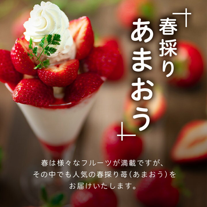 【ふるさと納税】【2026年発送先行受付】フルーツ専門店が選んだ「あまおう苺」春250g×4パック(大野城市)_ あまおう苺 いちご イチゴ 果物 フルーツ 福岡県 大野城市 美味しい 人気 送料無料【配送不可地域：離島】【1083237】 サムネイル3