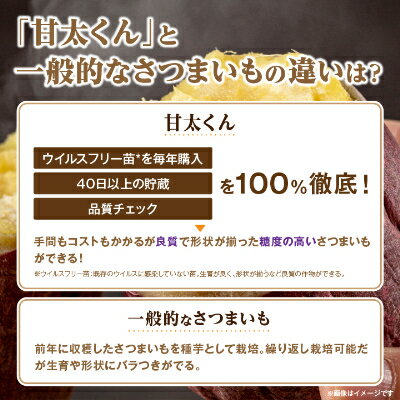 【ふるさと納税】冷凍焼き芋「甘太くん」5本　1.75kg_ 紅はるか から厳選 1本350g以上の大きな 芋 小分け 真空パック ふるさと納税 さつまいも 冷凍焼き芋 やきいも 焼きいも ふるさと ランキング 【配送不可地域：離島】【1080341】 - 画像3