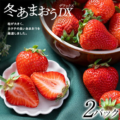 【11月下旬より順次発送】フルーツソムリエが選んだ【冬】あまおうDX(デラックス)2パック_ あまおう いちご 苺 イチゴ フルーツ ふるーつ 果物 くだもの 旬 国産 産直 産地直送 ギフト プレゼント 贈り物 送料無料 【配送不可地域：離島】【1353643】