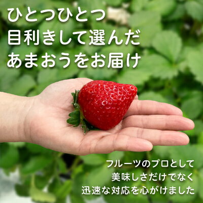 【ふるさと納税】【2026年発送先行受付】フルーツ専門店が選んだ「あまおう苺」春250g×6パック(大野城市)_ あまおう苺 いちご イチゴ 果物 フルーツ 福岡県 大野城市 美味しい 人気 送料無料【配送不可地域：離島】【1083968】 サムネイル2