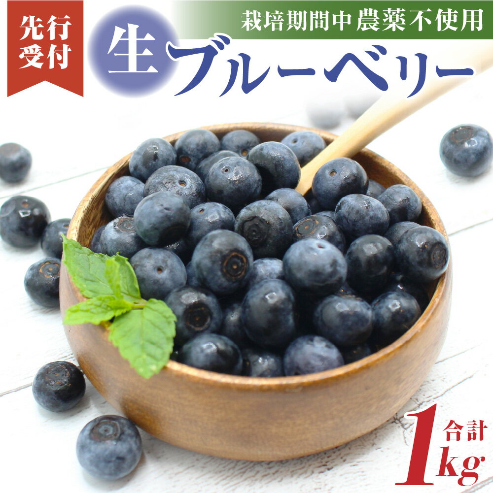 栽培期間中無農薬・有機肥料で丹精込めて栽培した「ブルーベリー」1kg【2026年収穫】【JAほたるの里】_HA0273 送料無料栽培期間中無農薬・有機肥料 冷凍保存可能