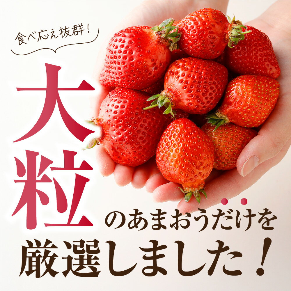 【ふるさと納税】＜選べる数量＆配送時期＞アフター保証 大粒セレクト！大人気のあまおう 280g × 2 or 4パック【2026年1月〜3月お届け】【JAほたるの里】大粒の「博多あまおう」 フルーツ 果物 いちご 苺 福岡県 宗像市 送料無料 サムネイル2