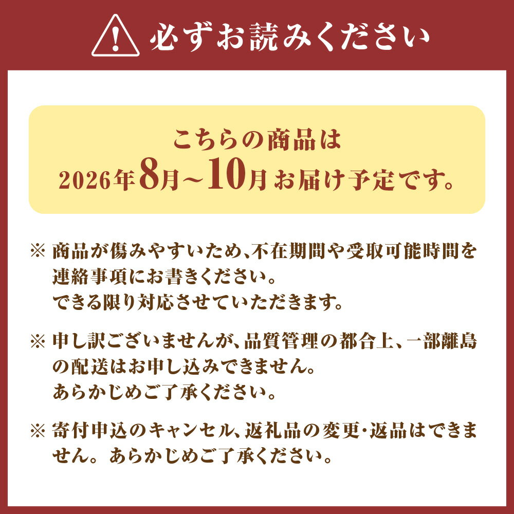 【ふるさと納税】【寄附額改定！】プレミアムいちじく とよみつひめ　1.2kg【JAほたるの里】_HA0278 ふるさと 納税 果物 フルーツ いちじく旬 朝ごはん 朝食 デザート お取り寄せ - 画像2