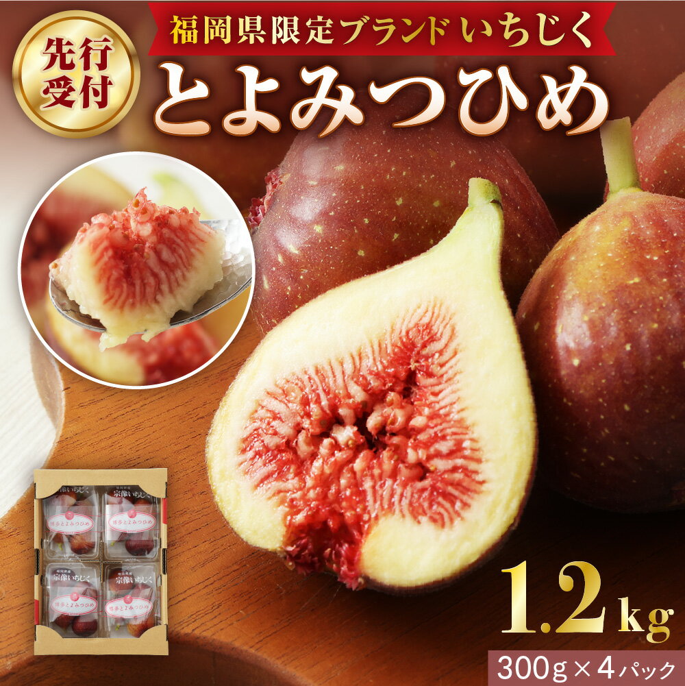 【寄附額改定！】プレミアムいちじく とよみつひめ　1.2kg【JAほたるの里】_HA0278 ふるさと 納税 果物 フルーツ いちじく旬 朝ごはん 朝食 デザート お取り寄せ