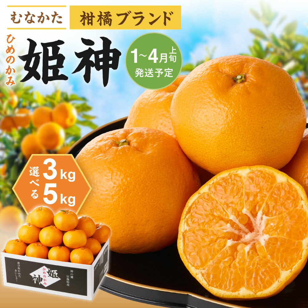 ＜選べる＞旬のミカンをお届け！JAむなかた柑橘ブランド「姫神」5kg 甘くておいしいみかん【2026年1月〜4月上旬発送】【ほたるの里】 送料無料みかん 柑橘 果物 フルーツ ジューシー 果汁 ジュース 期間限定 甘い 中晩柑