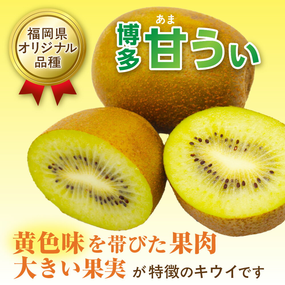 【ふるさと納税】【2025年収穫分】福岡県ブランド！キウイフルーツ「博多甘うぃ」1箱約3.6kg【ほたるの里】_HA0434 送料無料大きい果実 黄色味を帯びた果肉 福岡県のオリジナル品種 サムネイル2