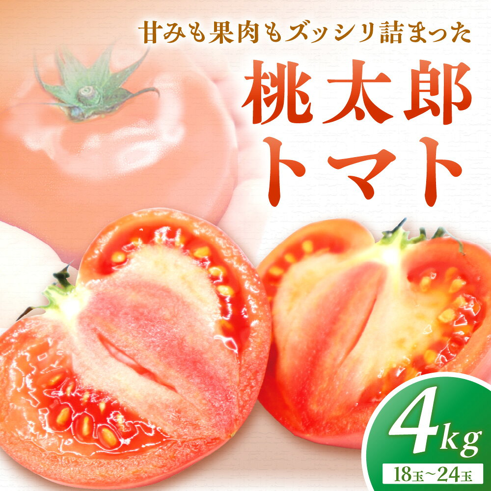 桃太郎トマト4kg（18玉〜24玉）【ほたるの里】_HA0572 送料無料12月～6月にハウス栽培 酸味と糖度のバランスが良 甘みも果肉もズッシリ