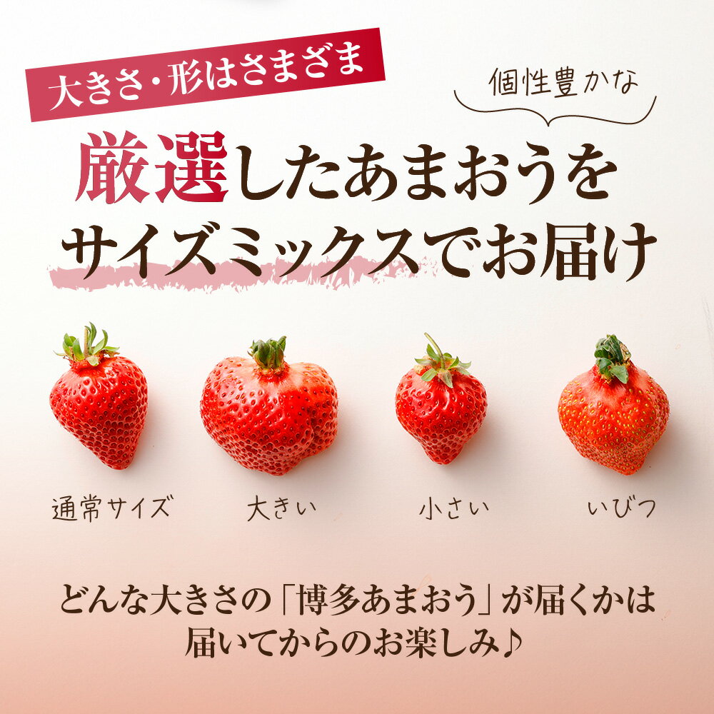 【ふるさと納税】＜選べる発送時期＞アフター保証【数量限定】「博多あまおう」約280g×4パック 計1.12kg 【ほたるの里】ふるさと 納税 果物 フルーツ 甘い イチゴ 苺 あまおう デザート 旬 手土産 プレゼント 定期便 いちご 博多あまおう サムネイル2