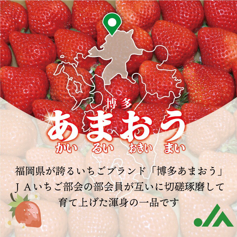 【ふるさと納税】急速冷凍！人気のあまおう 冷凍いちご　福岡県特産品　大容量 1.6kg【JAほたるの里】_HA1513 送料無料 苺 イチゴ スムージー ジャム たっぷり 真空パック おいしい フルーツ 果物 朝食 おやつ サムネイル2
