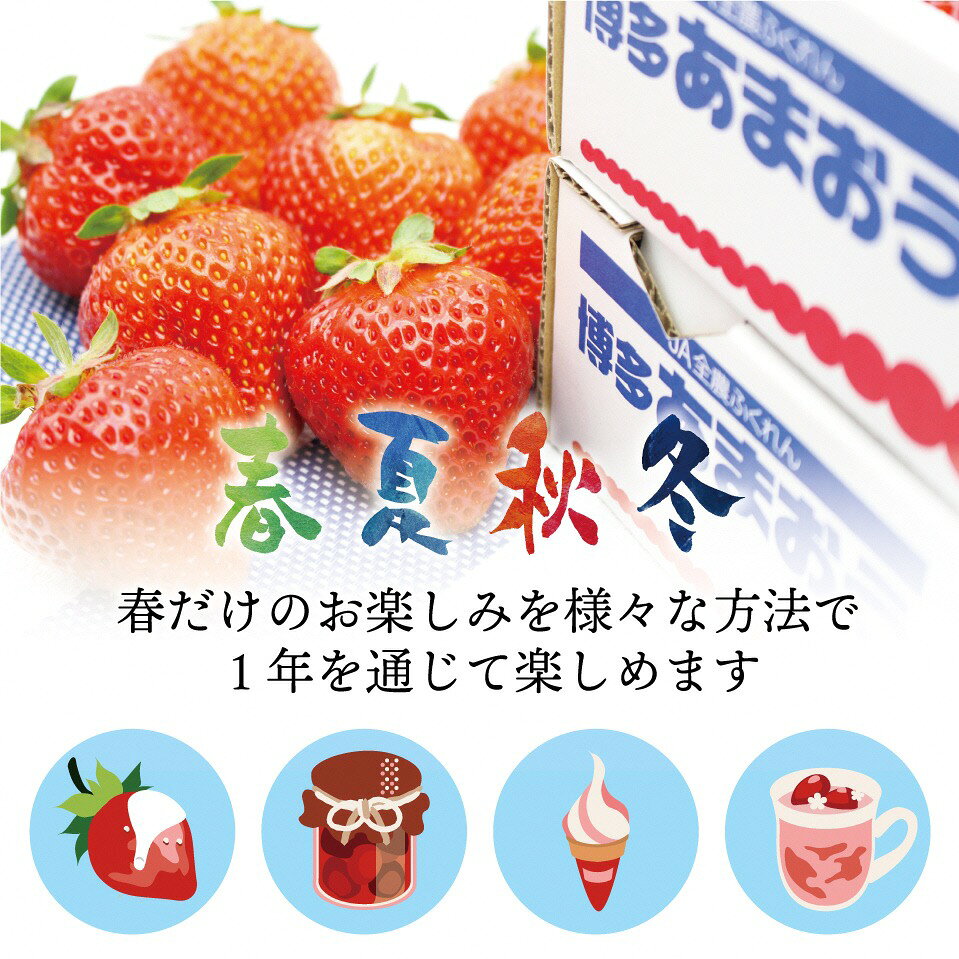 【ふるさと納税】急速冷凍！人気のあまおう 冷凍いちご　福岡県特産品　大容量 1.6kg【JAほたるの里】_HA1513 送料無料 苺 イチゴ スムージー ジャム たっぷり 真空パック おいしい フルーツ 果物 朝食 おやつ サムネイル3