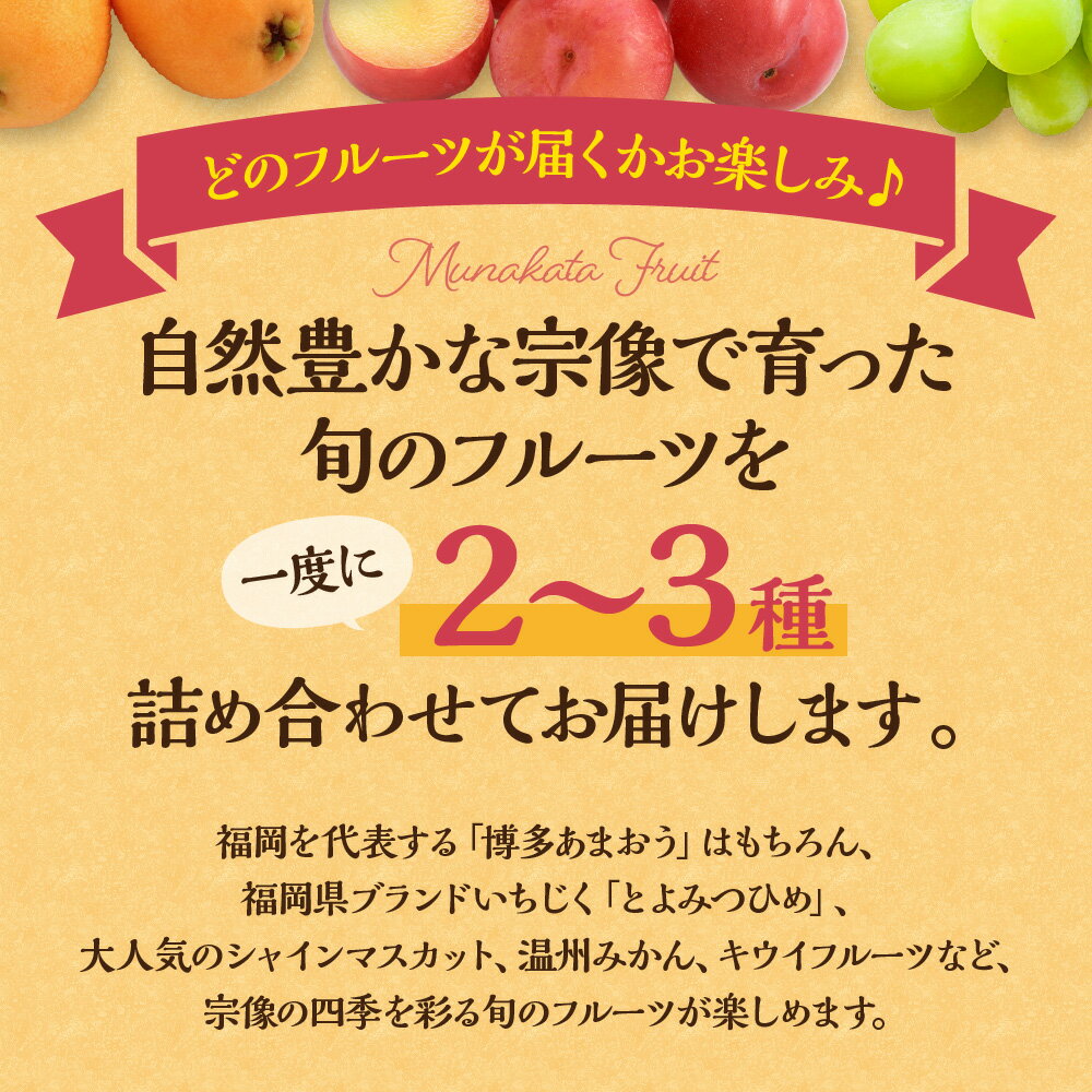 【ふるさと納税】何が届くかお楽しみ！むなかた旬のフルーツ福袋セット 定期便【年4回】【JAほたるの里】 送料無料 果物 くだもの 詰め合わせ あまおう 博多あまお キウイ いちじく みかん マスカット ブルーベリー 定期便 ふるさと納税 フルーツ サムネイル2