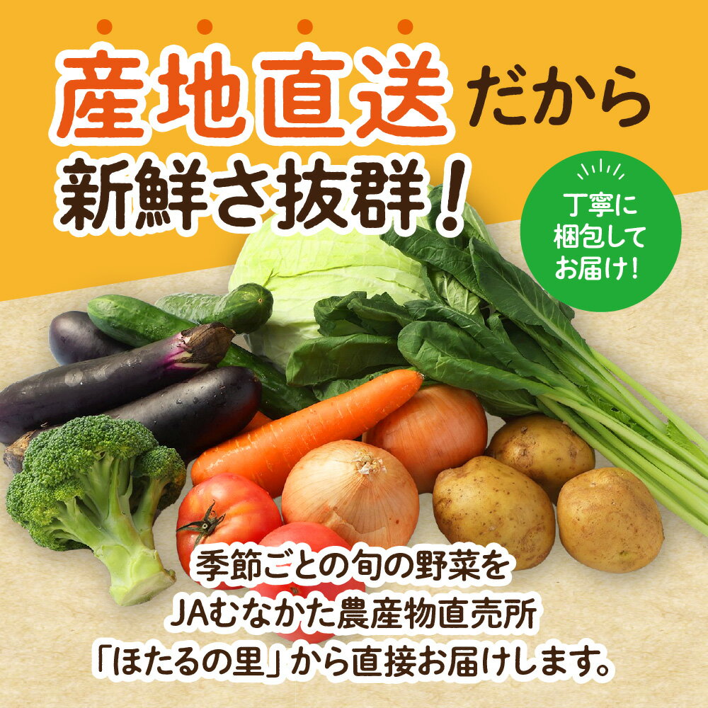 【ふるさと納税】【1回お届け／定期便】むなかた旬のお任せセット ( 野菜 ) 7〜9品【JAほたるの里】 送料無料 お野菜 野菜 旬 セット 詰め合わせ お楽しみ 季節 新鮮 産直 福岡県 宗像市 - 画像2