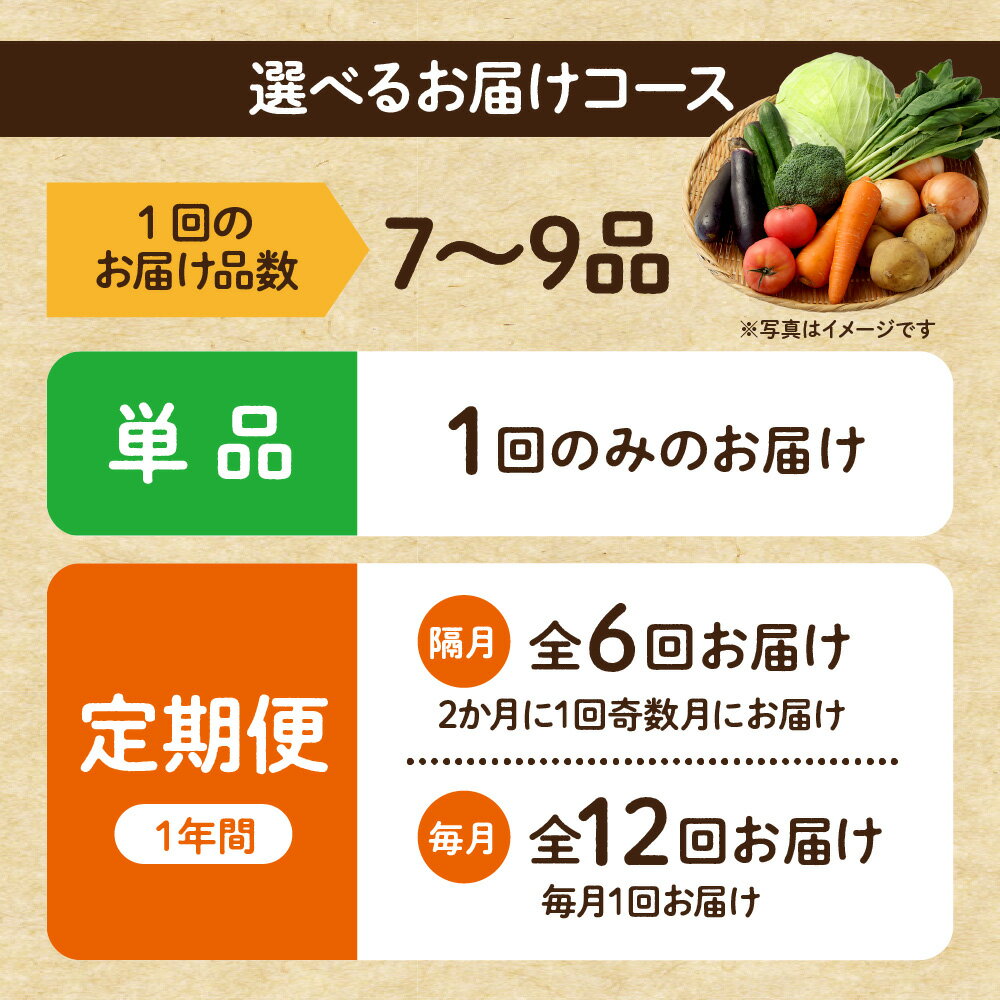 【ふるさと納税】【1回お届け／定期便】むなかた旬のお任せセット ( 野菜 ) 7〜9品【JAほたるの里】 送料無料 お野菜 野菜 旬 セット 詰め合わせ お楽しみ 季節 新鮮 産直 福岡県 宗像市 - 画像3