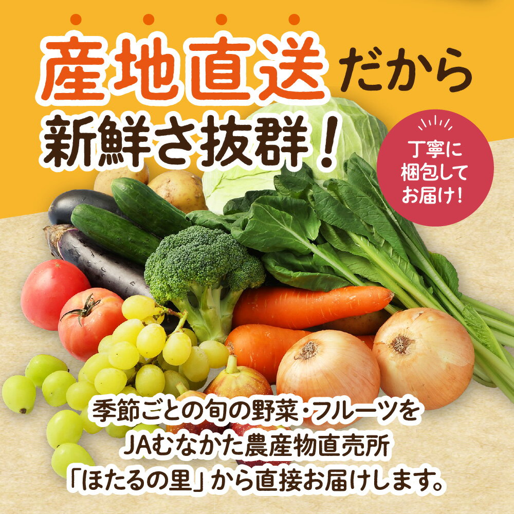 【ふるさと納税】【1回お届け／定期便】むなかた旬のお任せセット（野菜・フルーツ）9〜11品【JAほたるの里】 送料無料お野菜 野菜 旬 セット 詰め合わせ お楽しみ 季節 新鮮 産直 直送 採れたて フレッシュ 美味しい 健康 福岡県 宗像市 - 画像2