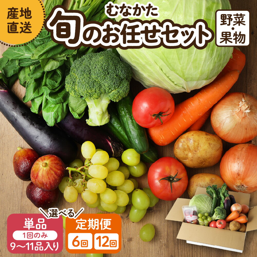 【1回お届け／定期便】むなかた旬のお任せセット（野菜・フルーツ）9〜11品【JAほたるの里】 送料無料お野菜 野菜 旬 セット 詰め合わせ お楽しみ 季節 新鮮 産直 直送 採れたて フレッシュ 美味しい 健康 福岡県 宗像市