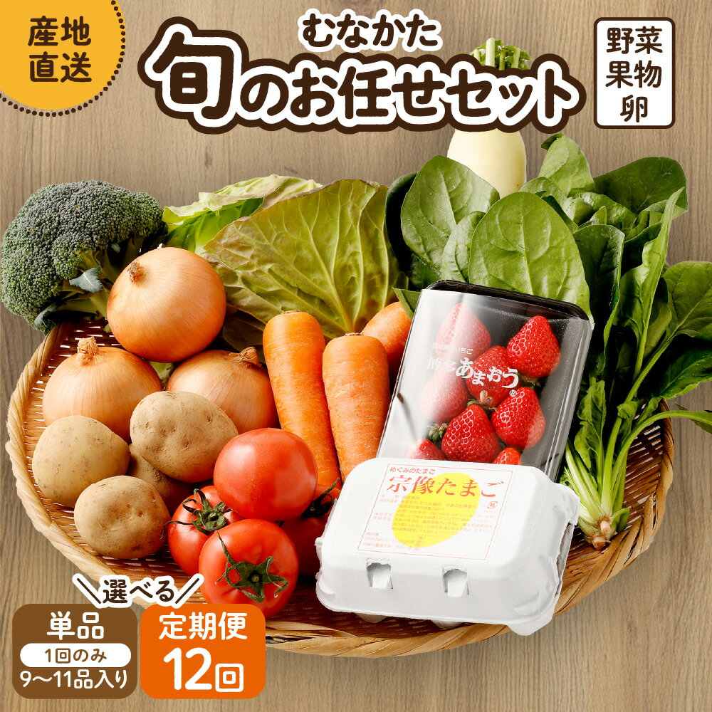 【1回お届け／定期便12回】むなかた旬のお任せセット（野菜・フルーツ・卵） 9〜11品【JAほたるの里】 送料無料産直 新鮮 野菜 フルーツ 卵 定期便 宗像 1回