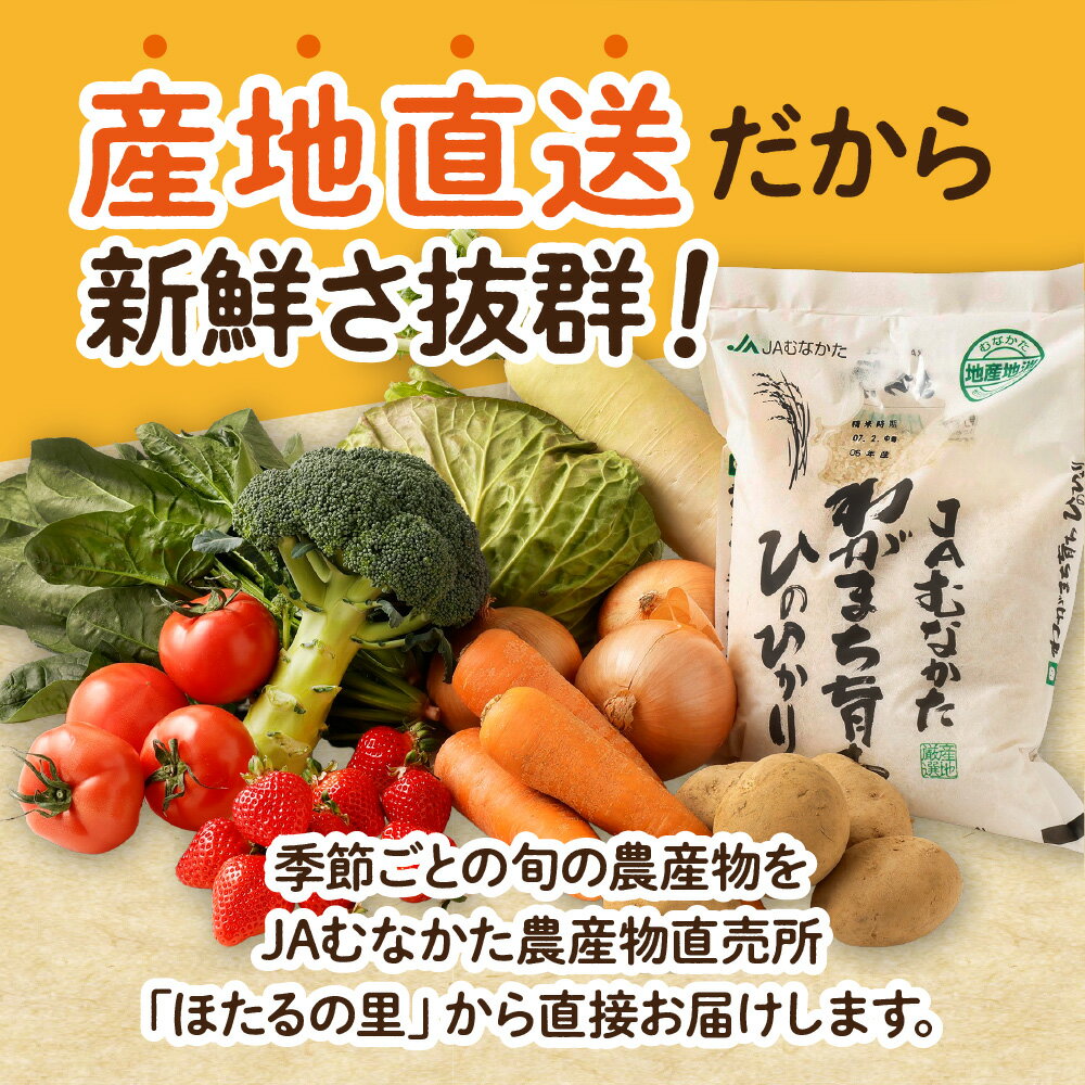【ふるさと納税】むなかた旬のお任せセット(野菜・フルーツ・お米／9〜11品)【1回お届け／定期便（年12回）】【ほたるの里】　送料無料 - 画像2