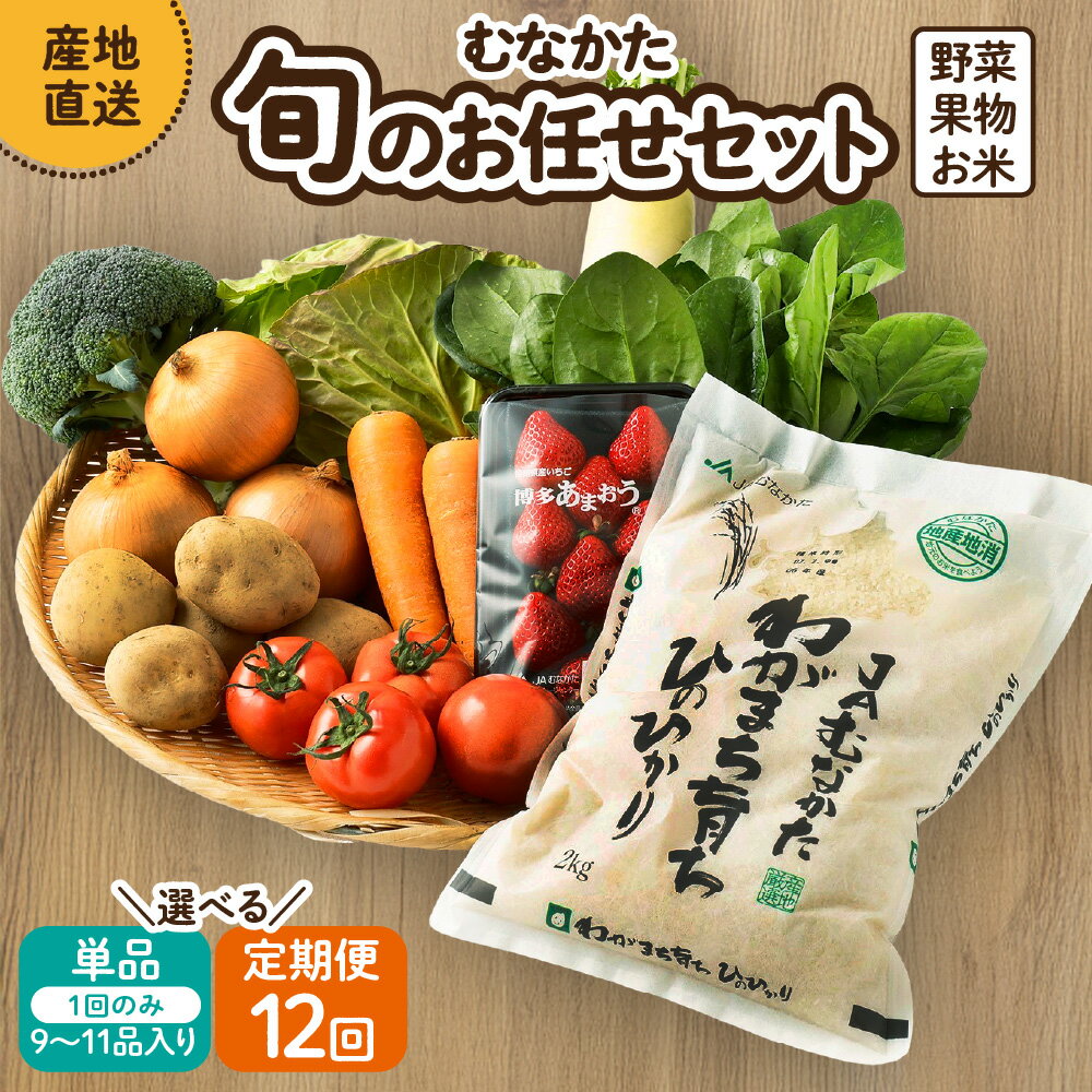むなかた旬のお任せセット(野菜・フルーツ・お米／9〜11品)【1回お届け／定期便（年12回）】【ほたるの里】　送料無料