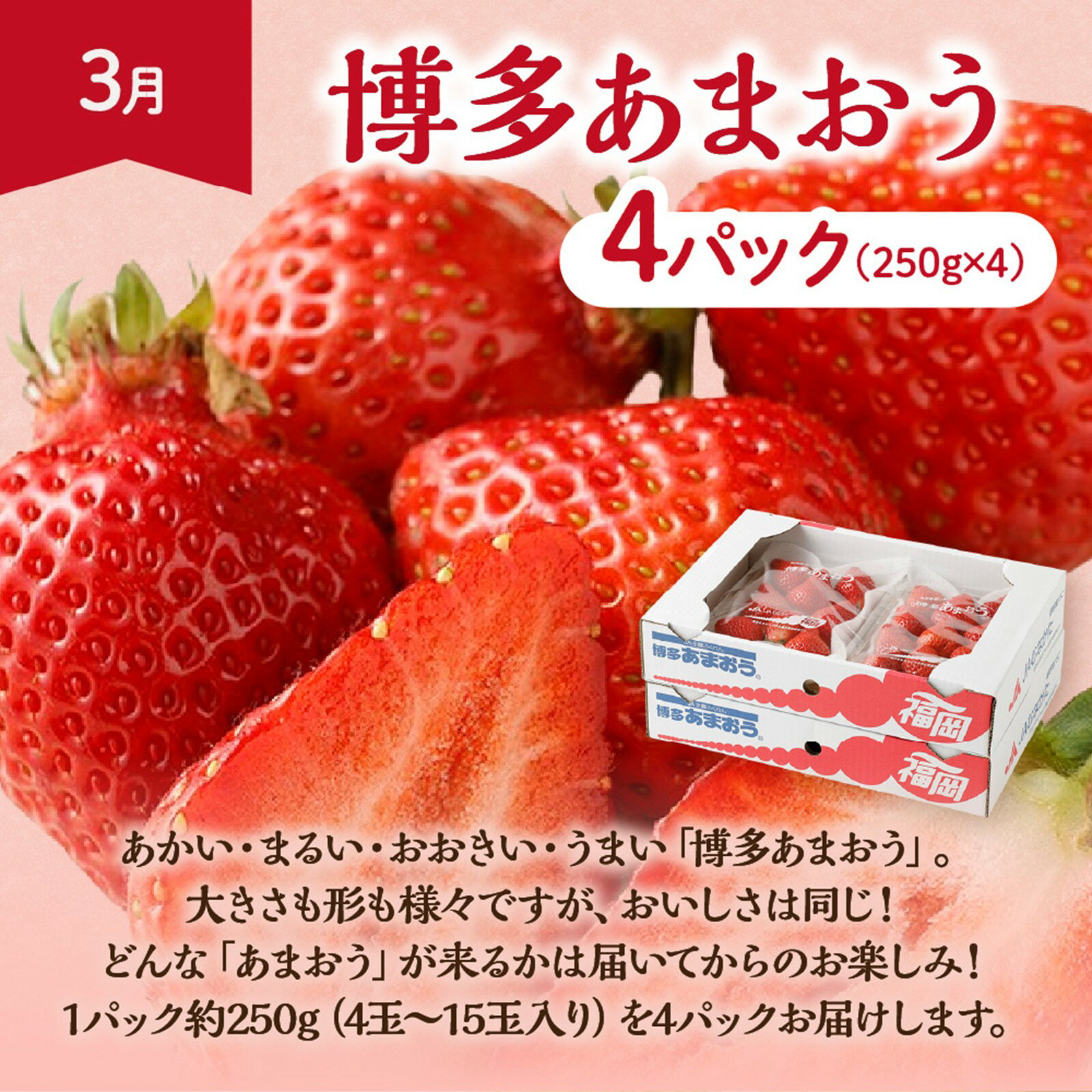 【ふるさと納税】【定期便/年4回】旬の福岡フルーツ定期便【ほたるの里】_HB0087 送料無料 数量限定 いちご イチゴ 苺 あまおう いちじく とよみつひめ旬 キウイ 甘うぃ みかん 早味かん 果物 フルーツ 定期便 宗像 福岡 旬 - 画像3
