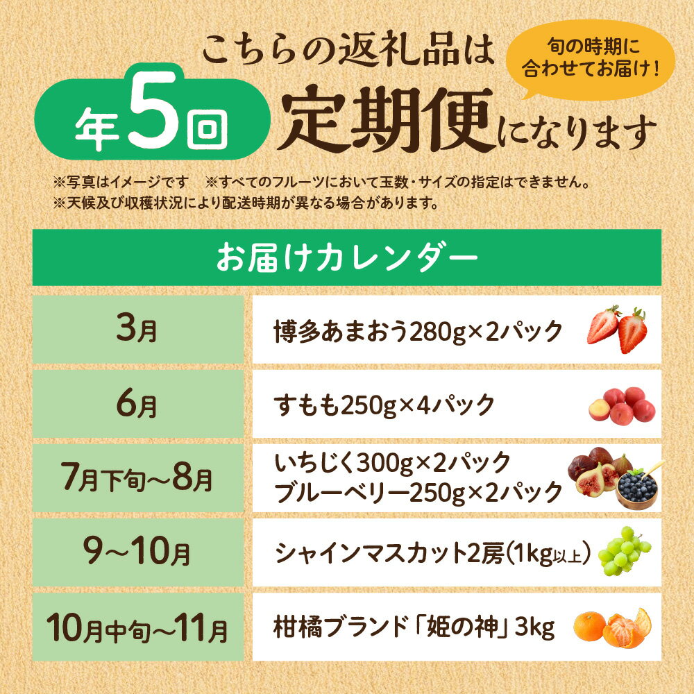 【ふるさと納税】【定期便/年5回】JAむなかた厳選！人気フルーツ定期便【JAむなかた ほたるの里】_HB0164　送料無料いちご あまおう すもも いちじく シャインマスカット みかん 旬 旬の時期 おいしい フルーツ 果物 サムネイル2