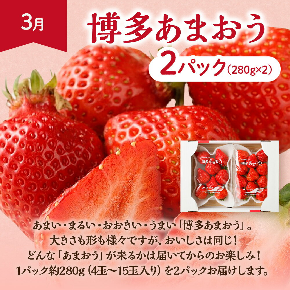 【ふるさと納税】【定期便/年5回】JAむなかた厳選！人気フルーツ定期便【JAむなかた ほたるの里】_HB0164　送料無料いちご あまおう すもも いちじく シャインマスカット みかん 旬 旬の時期 おいしい フルーツ 果物 サムネイル3