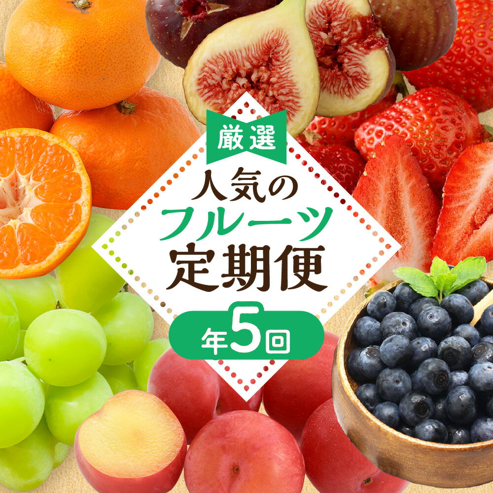 【定期便/年5回】JAむなかた厳選！人気フルーツ定期便【JAむなかた ほたるの里】_HB0164　送料無料いちご あまおう すもも いちじく シャインマスカット みかん 旬 旬の時期 おいしい フルーツ 果物