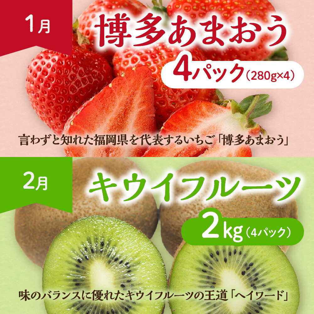 【ふるさと納税】【定期便/年11回】JAむなかた厳選！旬のフルーツ定期便【JAほたるの里】_HB0171 送料無料旬 旬の時期 定期便 おいしい フルーツ 果物 お土産 美味しい うれしい ボリューム お楽しみ サムネイル3