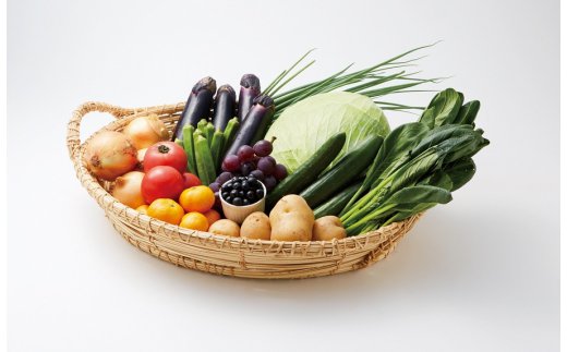 【定期便／3ヶ月連続お届け】春夏秋冬お楽しみ！むなかた旬のお任せセット(旬のフルーツ1品・野菜7〜8品)【ほたるの里】_HB0031 送料無料新鮮 ヘルシー ボリューム お楽しみ JA 福岡 宗像市