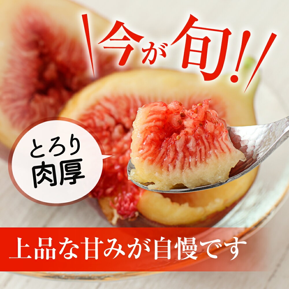 【ふるさと納税】【寄附額改定！】プレミアムいちじく とよみつひめ　1.2kg【JAほたるの里】_HA0278 ふるさと 納税 果物 フルーツ いちじく旬 朝ごはん 朝食 デザート お取り寄せ - 画像3