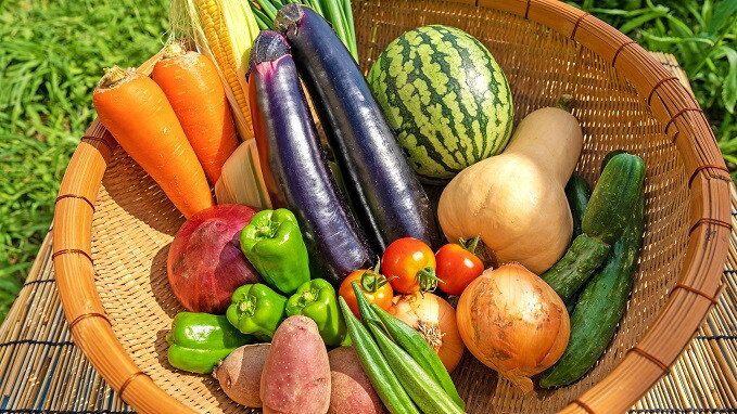 【一週間以内に発送】宗像とれたて　野菜・たまごセット【オアシス】_HA0778 送料無料お野菜 卵 宗像市 産直 旬の野菜 詰め合わせ