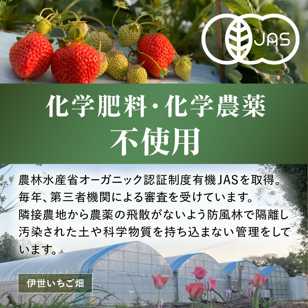 【ふるさと納税】プレミアムオーガニックあまおう　スペシャルギフト【伊世いちご畑】_HA0480 送料無料苺 イチゴ フルーツ 化学農薬不使用 化学肥料不使用 冷蔵 ご褒美 おやつ 朝食 デザート サムネイル3
