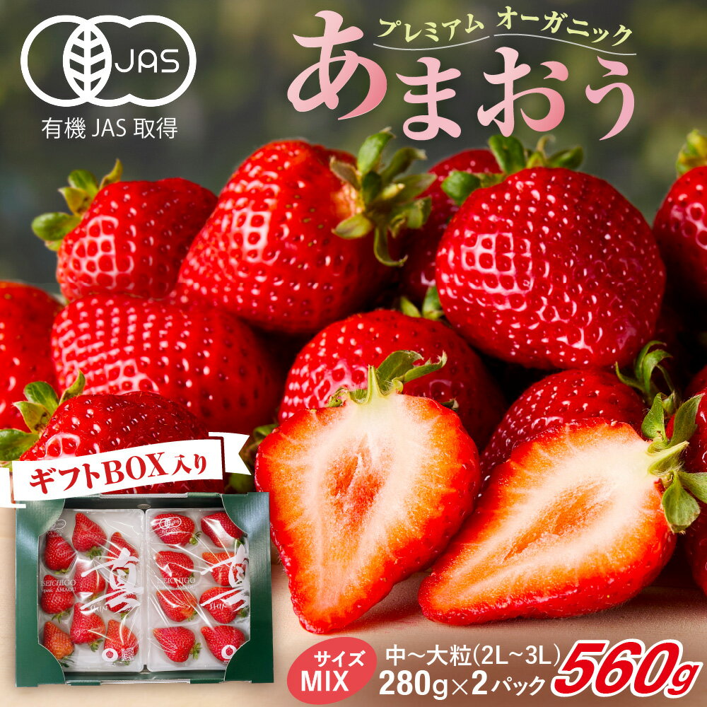 プレミアムオーガニックあまおう　スペシャルギフト【伊世いちご畑】_HA0480 送料無料苺 イチゴ フルーツ 化学農薬不使用 化学肥料不使用 冷蔵 ご褒美 おやつ 朝食 デザート