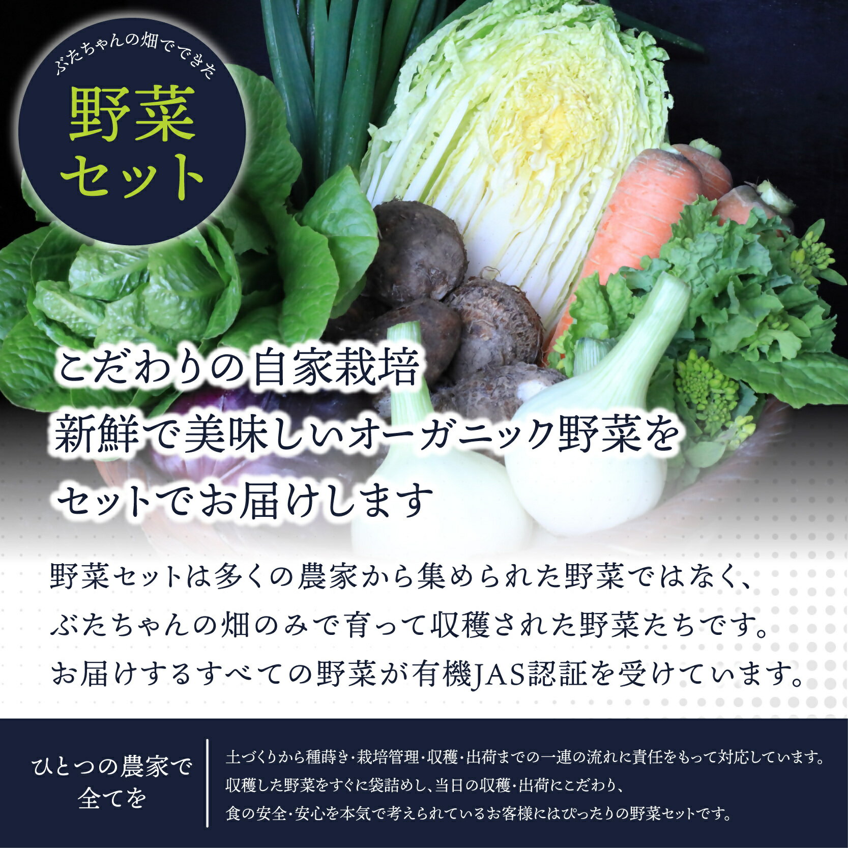 【定期便/年12回/毎月お届け】有機JAS認証 旬の野菜セット 8品【ぶたちゃんの畑】_HB0162 送料無料 新鮮 お野菜 毎月 安心 安全 楽しみ
