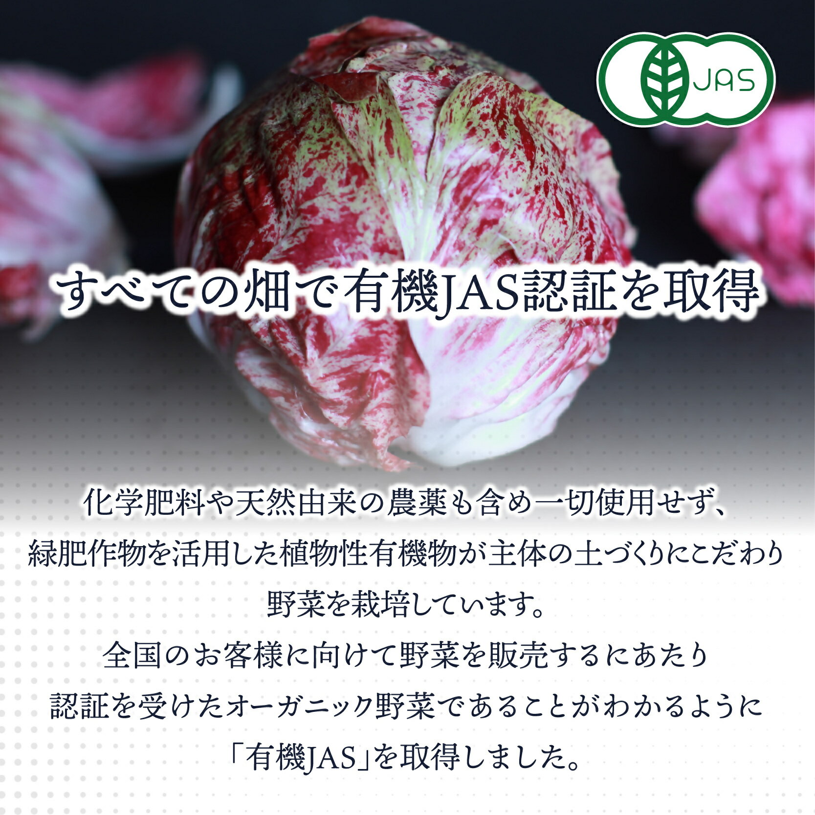 【ふるさと納税】【定期便/年12回/毎月お届け】有機JAS認証 旬の野菜セット 8品【ぶたちゃんの畑】_HB0162 送料無料 新鮮 お野菜 毎月 安心 安全 楽しみ - 画像2