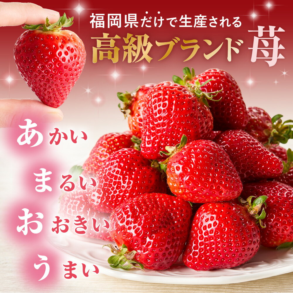 【ふるさと納税】オーガニックあまおう 「いせいちご」 おまかせ4パック（MIX）【伊世いちご畑】_HA1018　送料無料苺 イチゴ フルーツ 化学農薬不使用 化学肥料不使用 冷蔵 ご褒美 おやつ 朝食 デザート サムネイル3