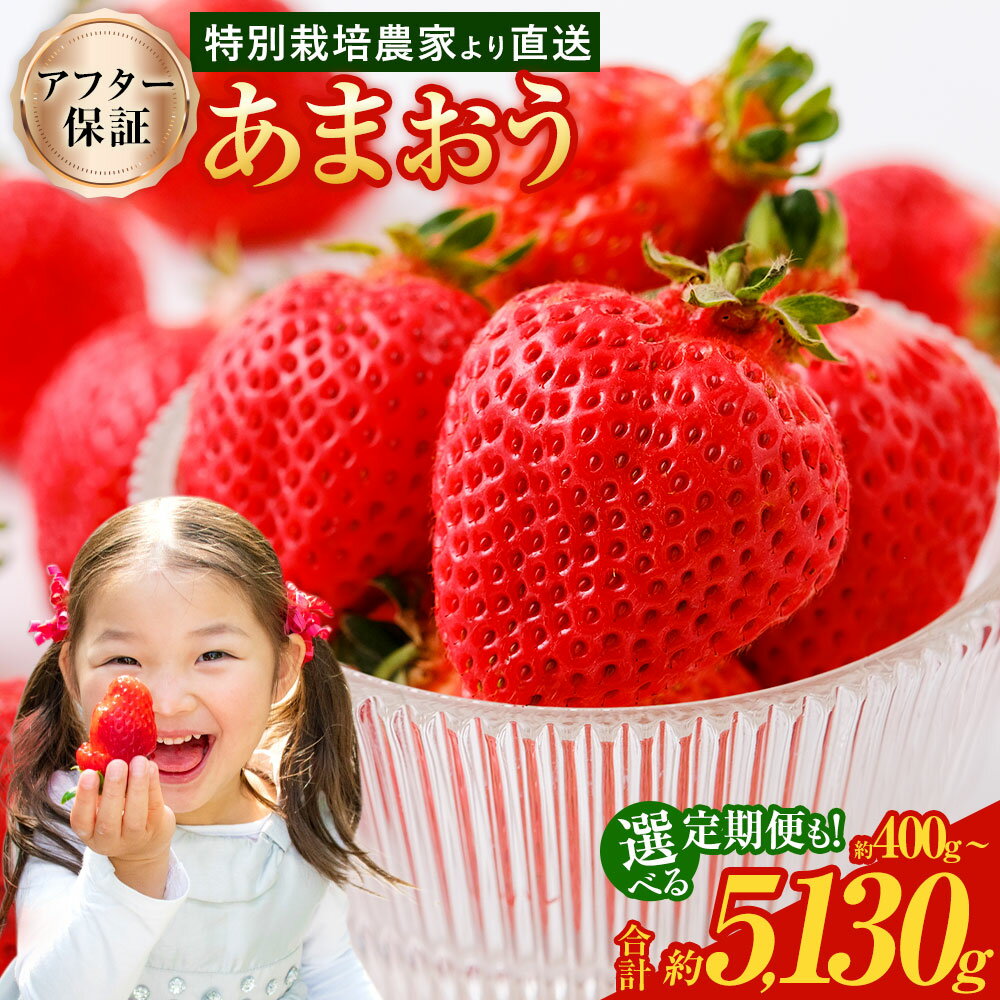 あまおう ★1パック追加★予約 【TVで紹介！】【特別栽培/有機質肥料/アフター保証】 ＜選べる 種類・容量・お届け回数＞ 約400g～合計約5130g 1回お届け / 2回・3回定期便 【2025年12月上旬～4月上旬より発送予定】 いちご 苺 果物 果実 フルーツ 送料無料