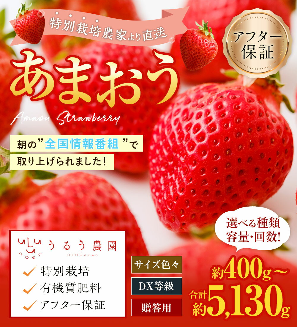 【ふるさと納税】あまおう ★1パック追加★予約 【TVで紹介！】【特別栽培/有機質肥料/アフター保証】 ＜選べる 種類・容量・お届け回数＞ 約400g～合計約5130g 1回お届け / 2回・3回定期便 【2025年12月上旬～4月上旬より発送予定】 いちご 苺 果物 果実 フルーツ 送料無料 - 画像2