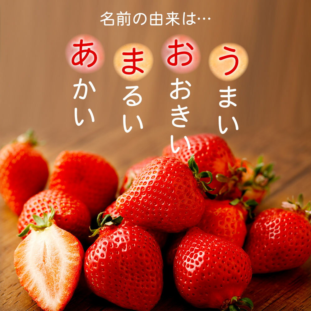 【ふるさと納税】【予約】＜選べる 容量＞【特別栽培】冷凍 あまおう 1kg／2kg 【2025年2月上旬より発送開始】うるう農園 いちご イチゴ 苺 フルーツ 果物 九州産 福岡県産 太宰府市 送料無料 サムネイル3
