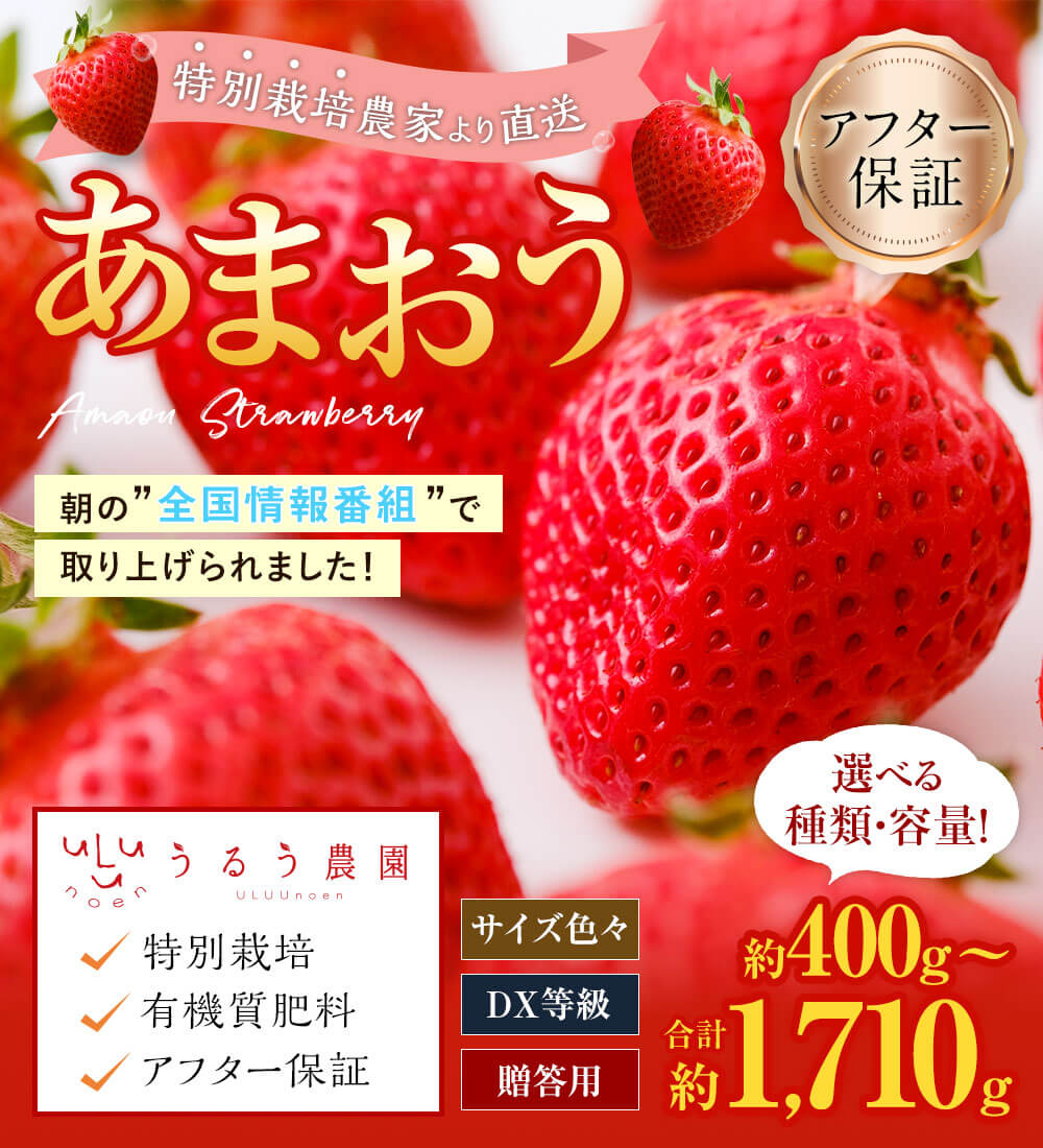 【ふるさと納税】予約 【TVで紹介！】【特別栽培/有機質肥料/アフター保証】 あまおう ＜選べる 種類・容量＞ 約400g～合計約1710g デラックス/エクセレントサイズなど【2025年12月上旬又は2026年1月上旬～4月上旬発送予定】 いちご 苺 送料無料 サムネイル3