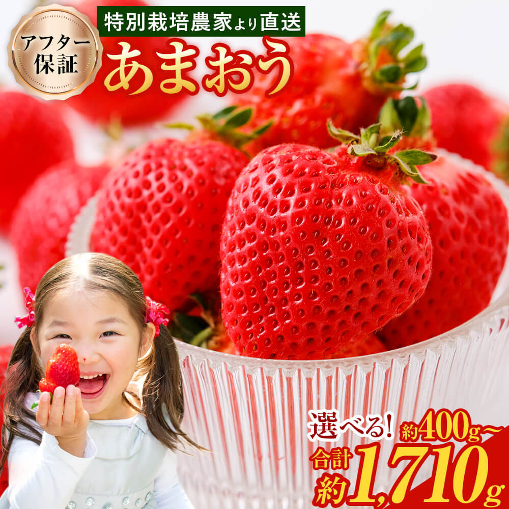 予約 【TVで紹介！】【特別栽培/有機質肥料/アフター保証】 あまおう ＜選べる 種類・容量＞ 約400g～合計約1710g デラックス/エクセレントサイズなど【2025年12月上旬又は2026年1月上旬～4月上旬発送予定】 いちご 苺 送料無料