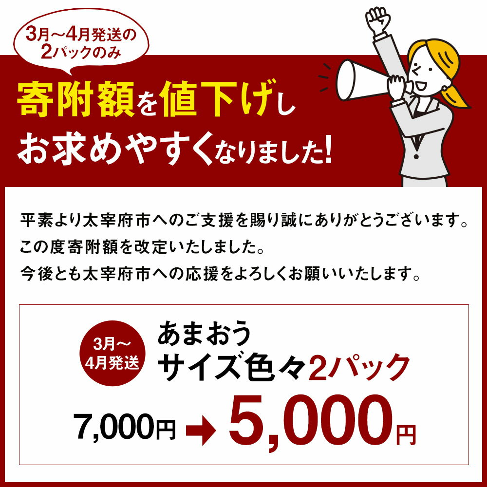 【ふるさと納税】予約 【TVで紹介！】【特別栽培/有機質肥料/アフター保証】 あまおう ＜選べる 種類・容量＞ 約400g～合計約1710g デラックス/エクセレントサイズなど【2025年12月上旬又は2026年1月上旬～4月上旬発送予定】 いちご 苺 送料無料 サムネイル2