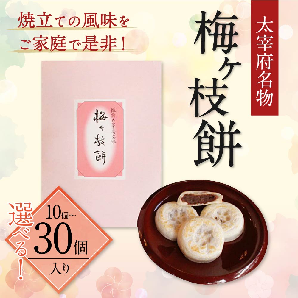 【ふるさと納税】太宰府名物 梅ヶ枝餅 ＜選べる内容量＞ 10個 / 20個 / 30個入り うめがえもち もち お菓子 焼餅 和菓子 小豆 あん 餡 国産 九州産 送料無料 サムネイル2