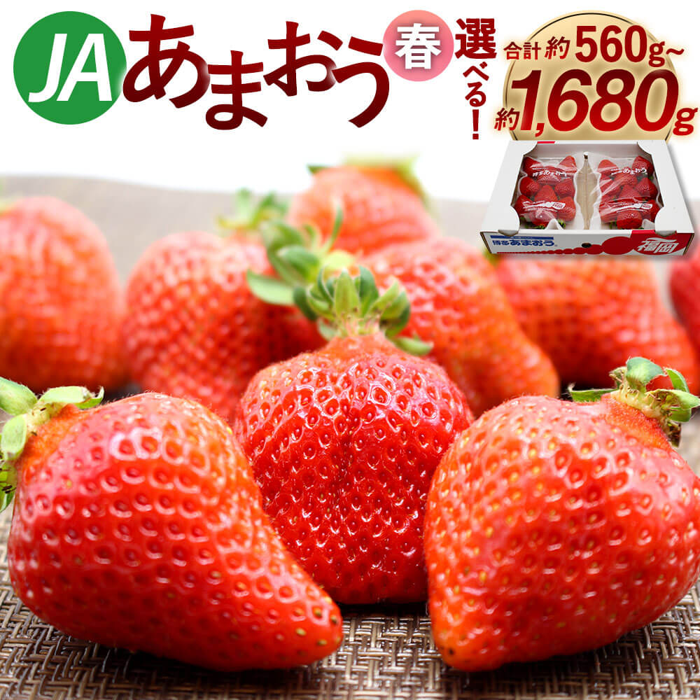 ＜選べる 容量＞【予約】博多あまおう（春） 2/4/6パック 合計約560g～約1680g 【2026年2月上旬～4月下旬発送予定】 1パック約280g あまおう 福岡県産 旬 フルーツ 果物 いちご イチゴ 苺 九州産 国産 冷蔵配送 9000円 ～ 15000円 9000円 ～ 1万5000円
