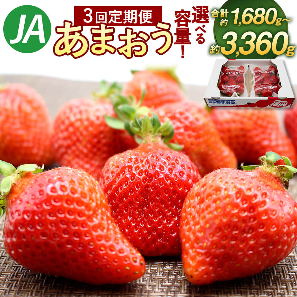 ＜選べる 容量＞【予約】【3回定期便】博多あまおう 2パック 3回合計約1680g または 4パック 3回合計約3360g 1パック約280g 【2026年2月上旬～4月下旬発送予定】 あまおう いちご 苺 フルーツ 果物 九州産 福岡県産 冷蔵 送料無料