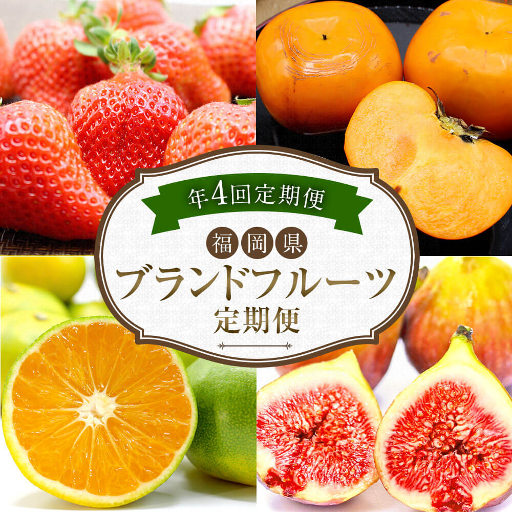 【ふるさと納税】【4回定期便】福岡県ブランドフルーツ定期便 いちご/博多あまおう 約280g×4パック いちじく/博多とよみつひめ 約300g×4パック みかん/早味かん 約3kg 柿/秋王 3Lサイズ4玉（約1.2kg） フルーツ 果物 定期便 国産 送料無料 サムネイル2