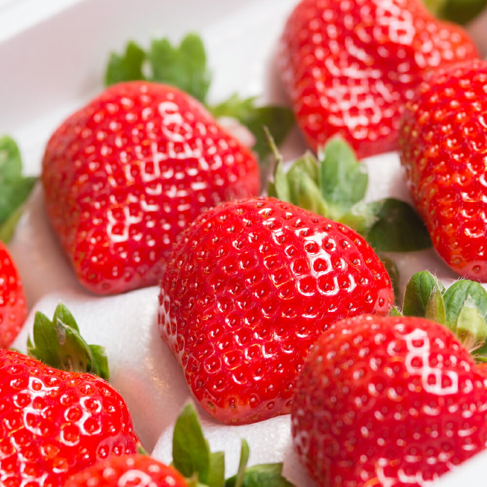 【ふるさと納税】福岡産 あまおう 12-15粒 【2025年12月上旬～2026年3月下旬発送予定】 約300g ギフト箱 予約 苺 いちご イチゴ あまおう 果物 くだもの フルーツ 大粒 福岡限定生産 冷蔵配送 送料無料 サムネイル3