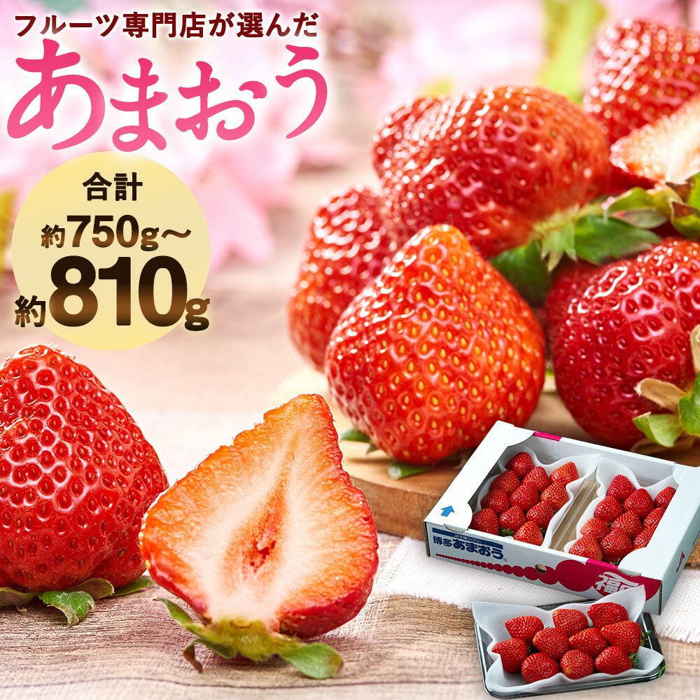 福岡産【春】あまおう 3パック 合計約750g～810g 【2026年2月上旬～3月下旬発送予定】 フルーツ専門店が選んだ 1パックあたり約250g～約270g 予約 いちご 苺 果物 フルーツ 九州産 福岡県産 冷蔵 送料無料