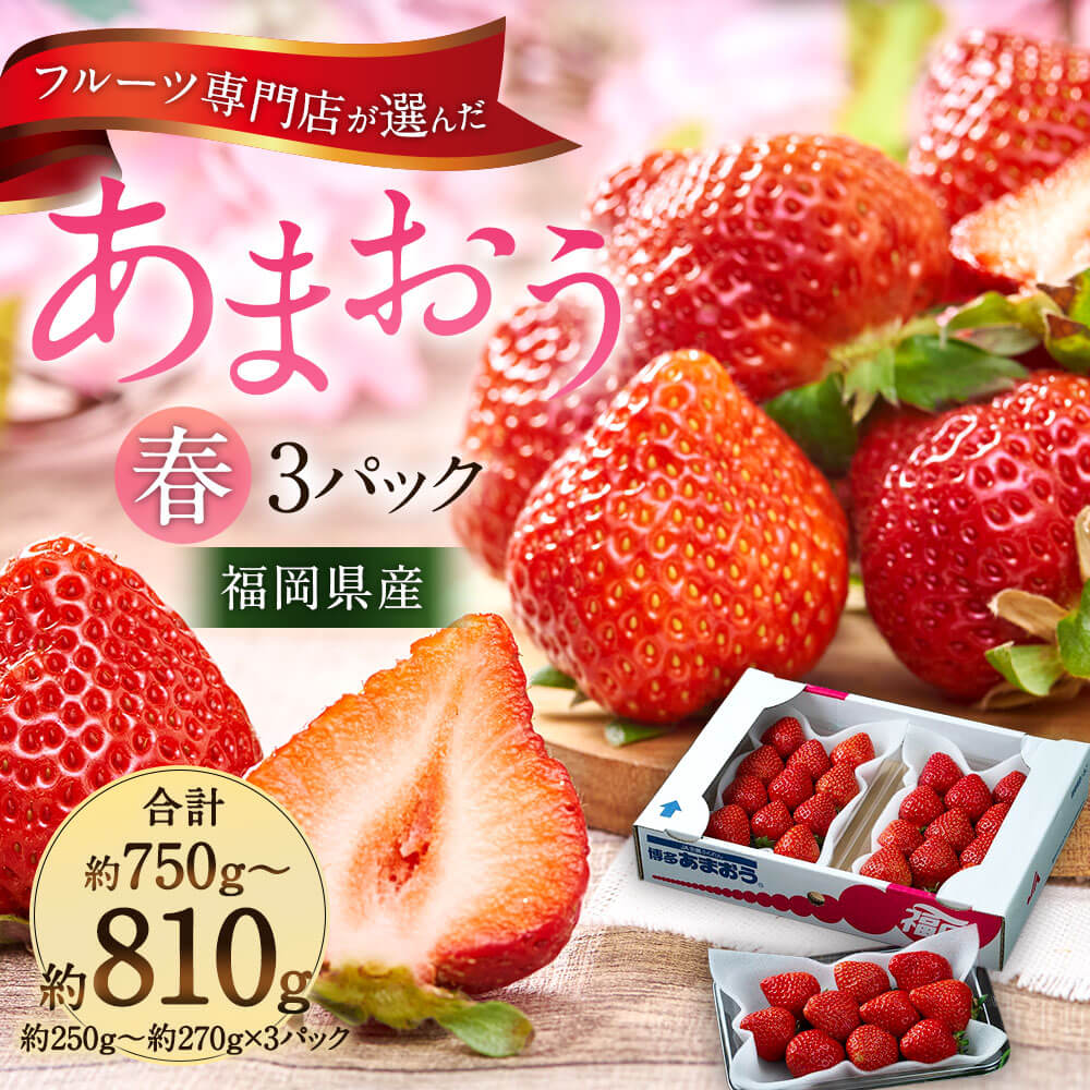 【ふるさと納税】福岡産【春】あまおう 3パック 合計約750g～810g 【2026年2月上旬～3月下旬発送予定】 フルーツ専門店が選んだ 1パックあたり約250g～約270g 予約 いちご 苺 果物 フルーツ 九州産 福岡県産 冷蔵 送料無料 サムネイル2